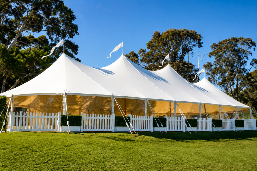 Festivals & Concerts