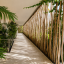 Eucalyptus Latte Poles - Bundle of 10