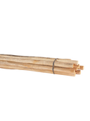 Eucalyptus Latte Poles - Bundle of 10