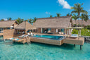 Viro Thatch Sub Tile